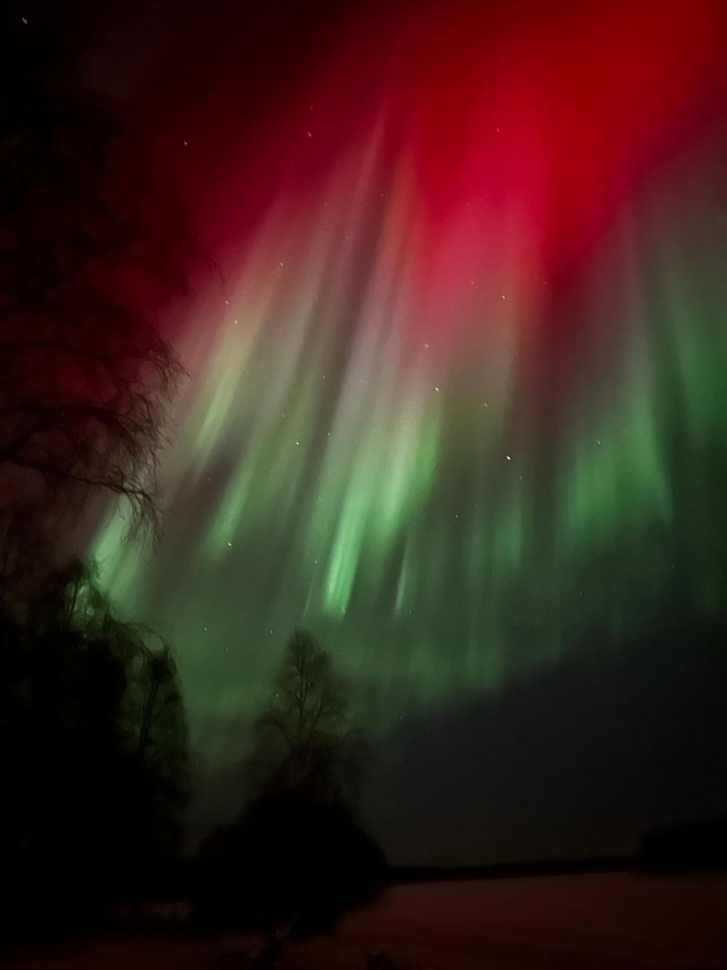 Sampo Studios Rovaniemi Exteriör bild