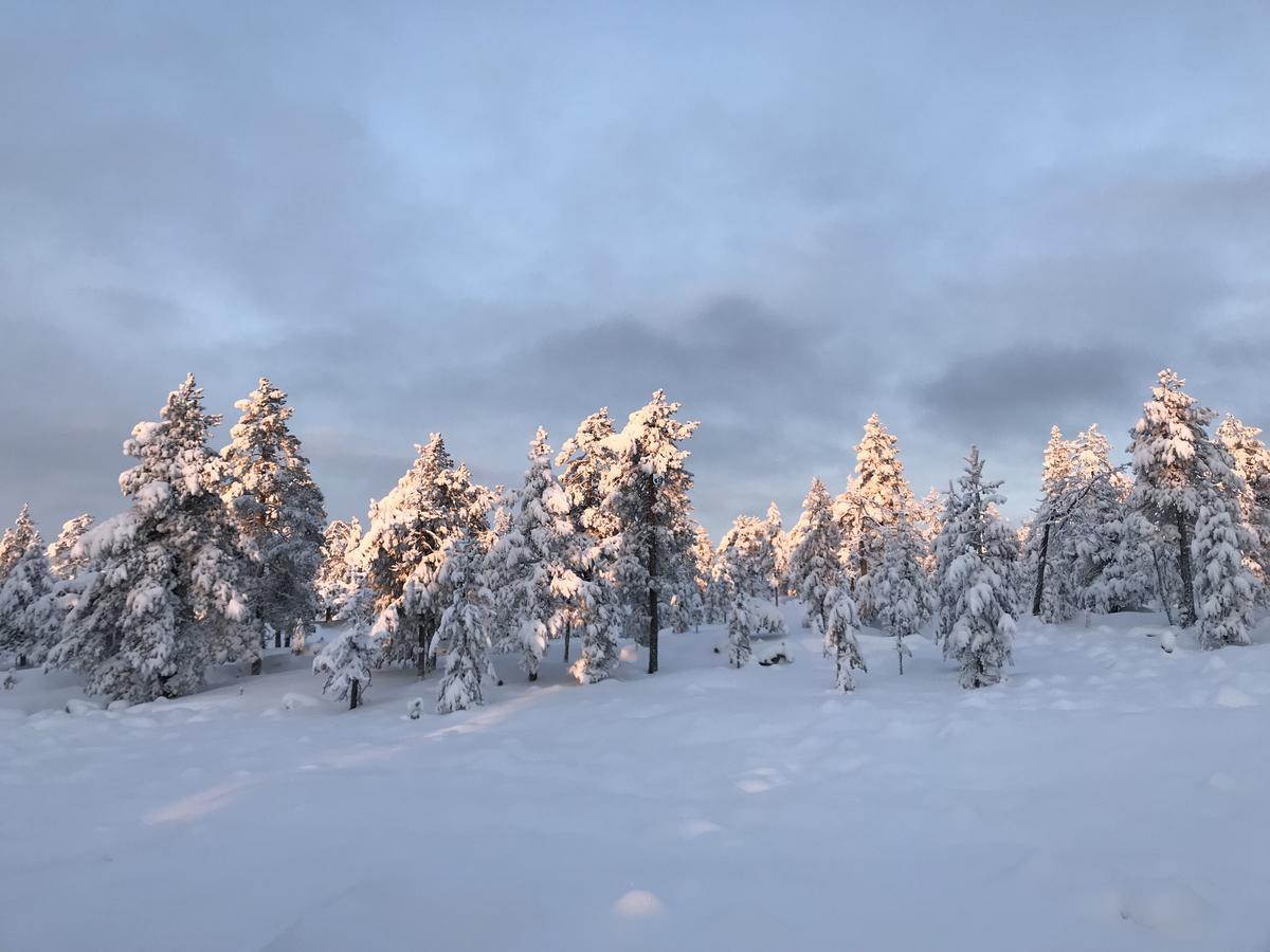 Sampo Studios Rovaniemi Exteriör bild