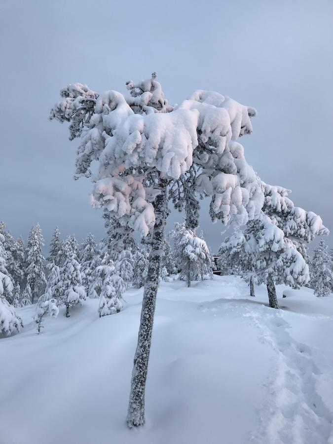 Sampo Studios Rovaniemi Exteriör bild