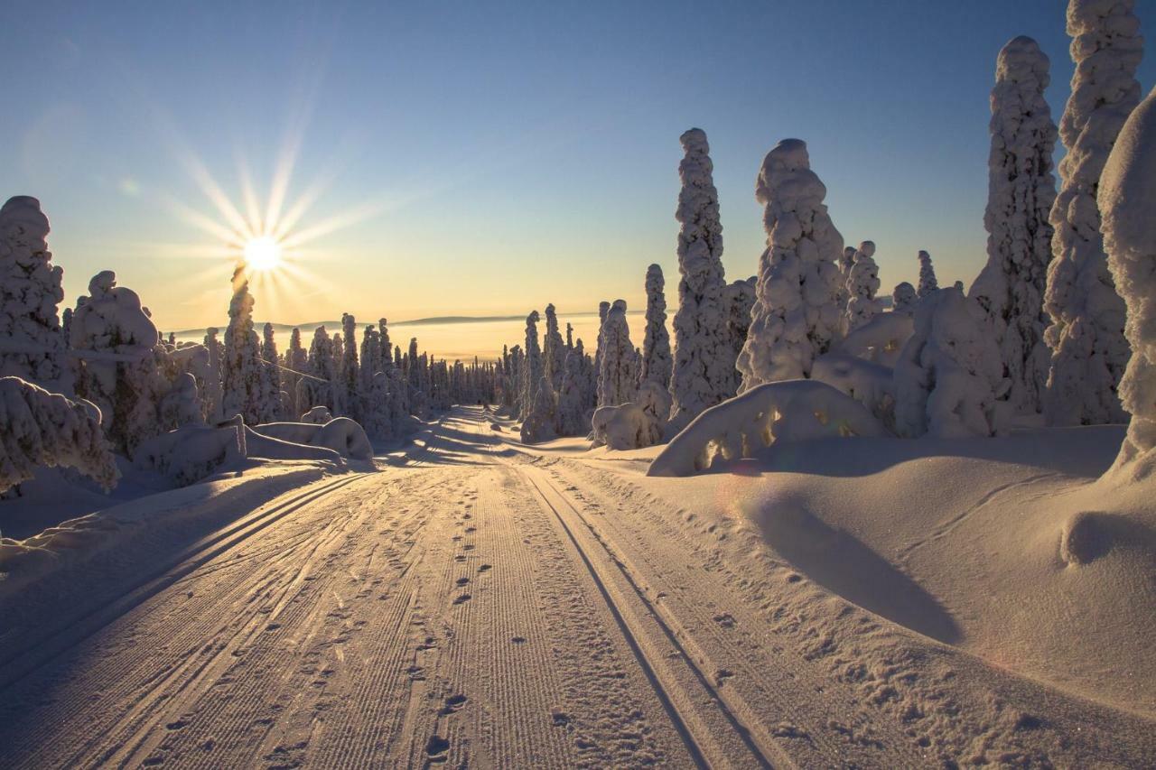 Sampo Studios Rovaniemi Exteriör bild